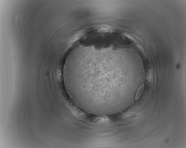 X0000095520715200712211303