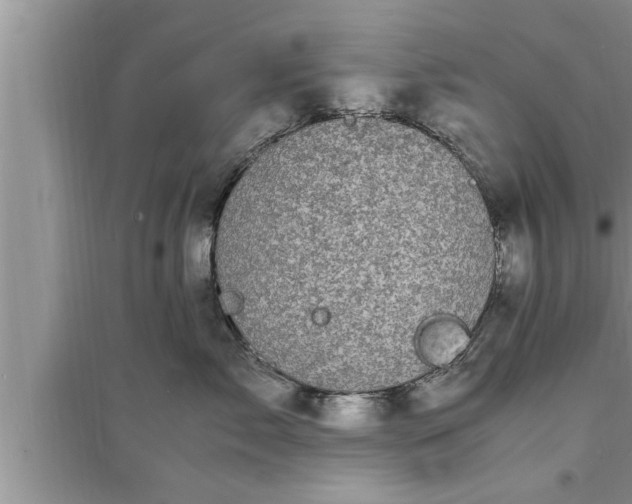 X0000095520717200712211303