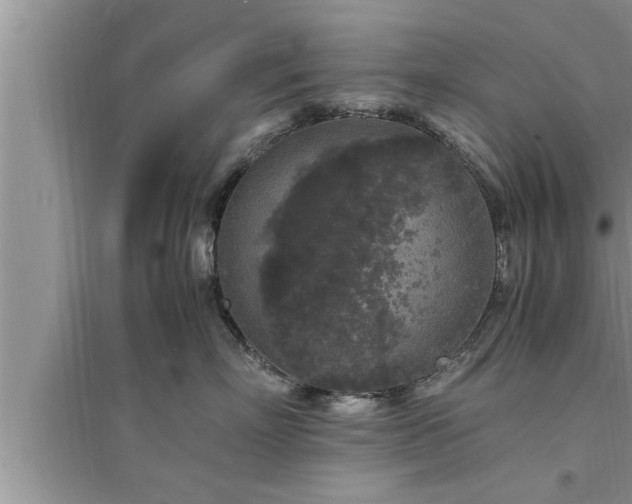 X0000095520718200712211303