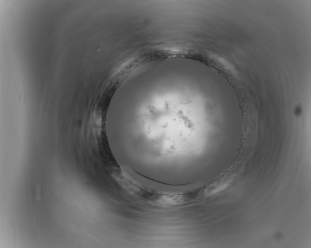 X0000095520720200712211303