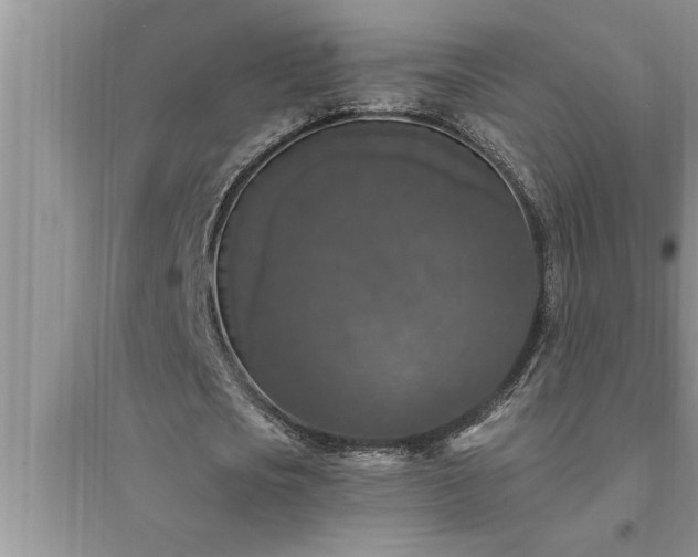 X0000095520721200712211302