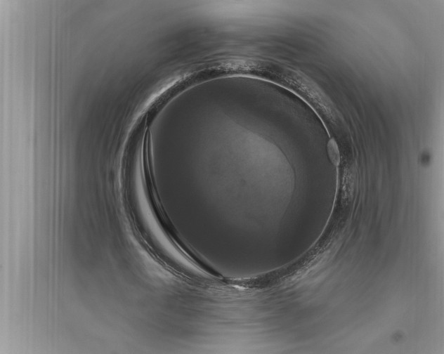 X0000095520722200712211302