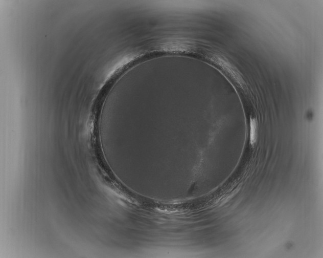 X0000095520723200712211302