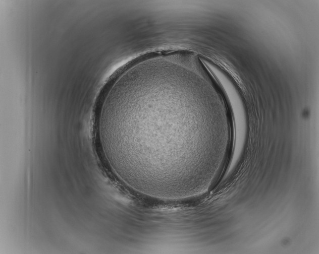 X0000095520724200712211302