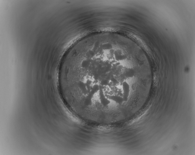 X0000095520725200712211302