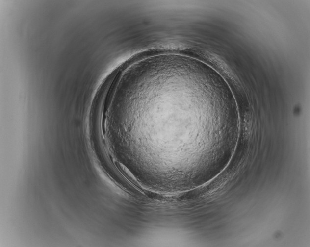 X0000095520726200712211302