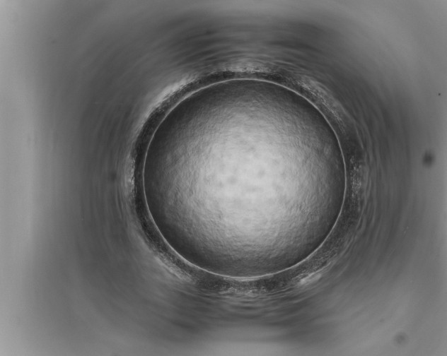 X0000095520727200712211302