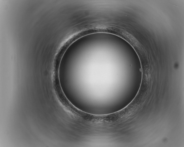 X0000095520728200712211302