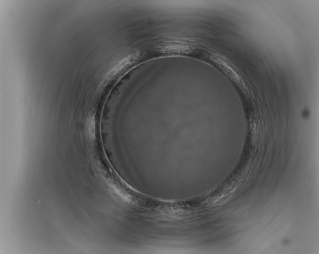 X0000095520729200712211302