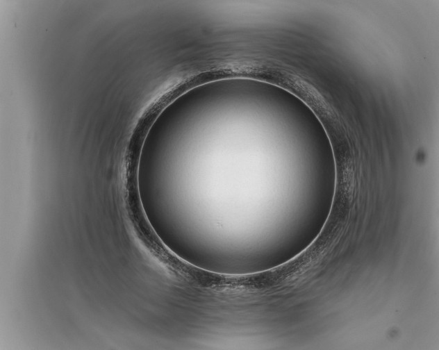 X0000095520730200712211302