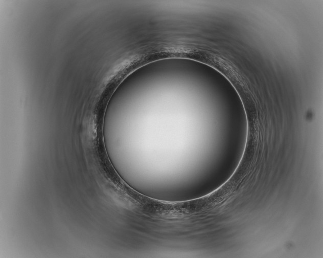 X0000095520731200712211302