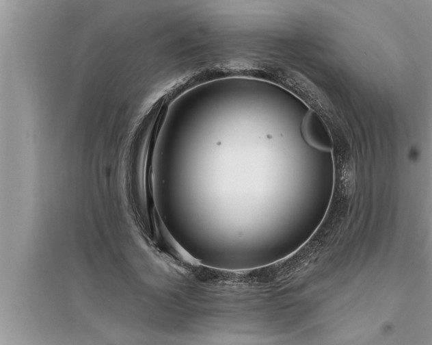 X0000095520732200712211302