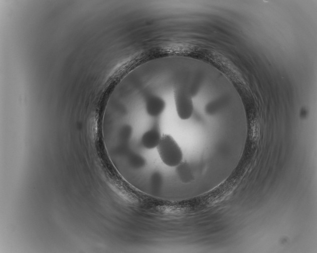 X0000095520733200712211302