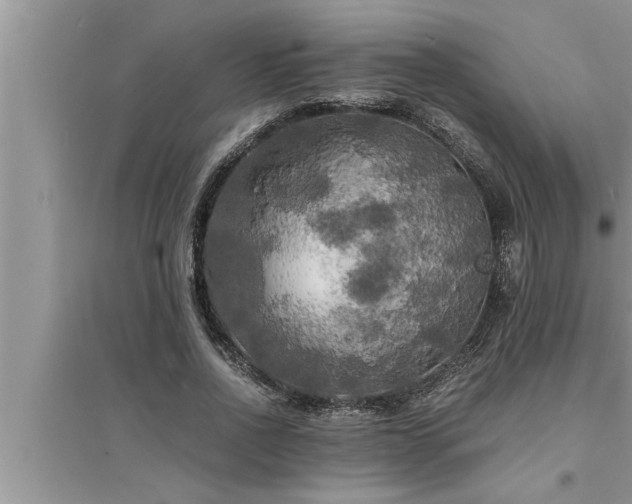 X0000095520734200712211302