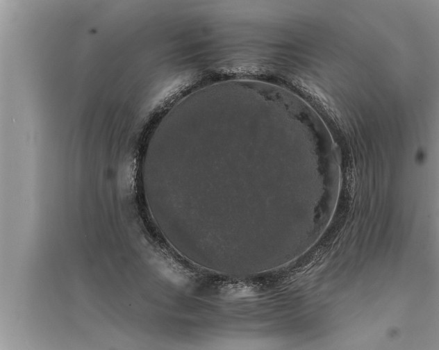 X0000095520735200712211302