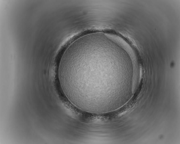 X0000095520736200712211302