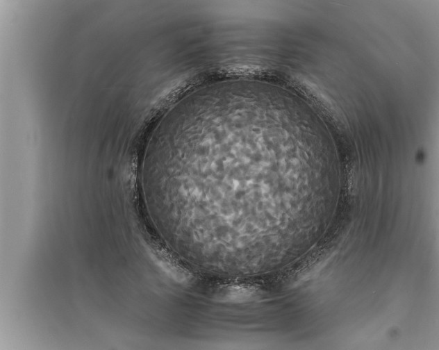 X0000095520737200712211302