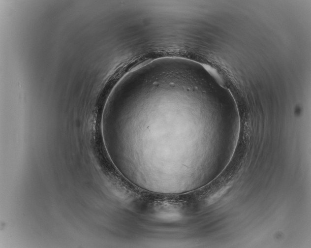 X0000095520739200712211302