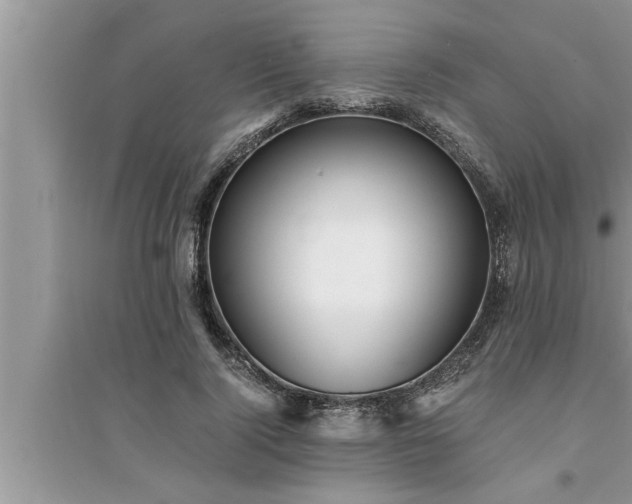 X0000095520740200712211302