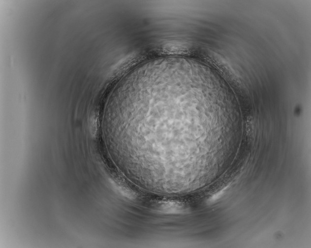 X0000095520741200712211302