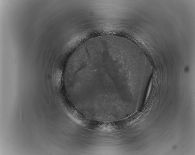 X0000095520742200712211302