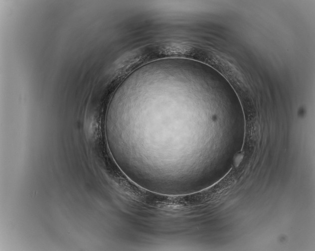 X0000095520743200712211302