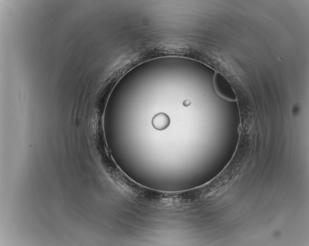 X0000095520744200712211302