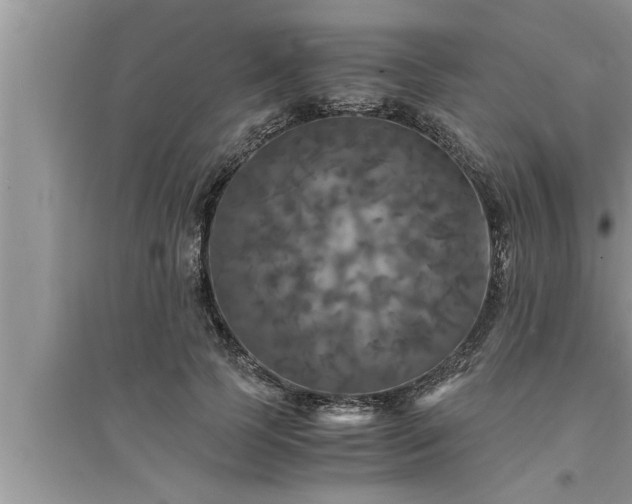 X0000095520745200712211302