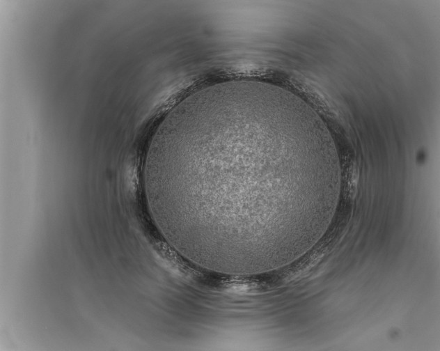 X0000095520746200712211302