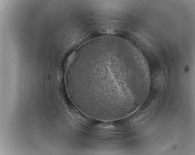 X0000095520747200712211302