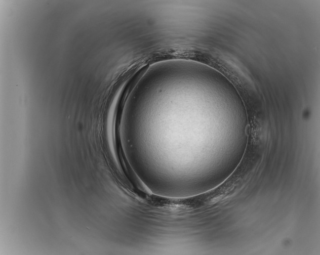 X0000095520748200712211302