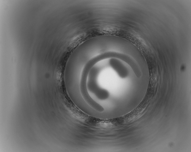 X0000095520749200712211302