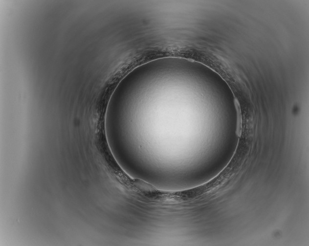 X0000095520750200712211302