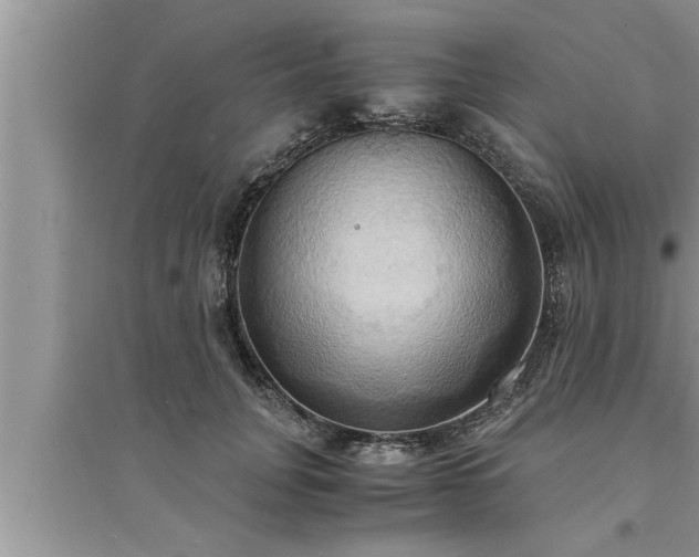 X0000095520751200712211302