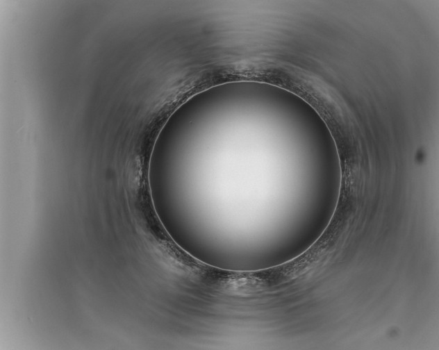 X0000095520752200712211302