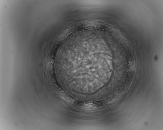 X0000095520753200712211302