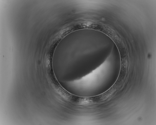 X0000095520754200712211302