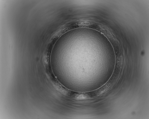 X0000095520755200712211302