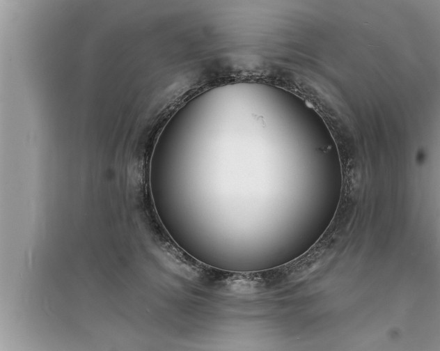 X0000095520756200712211302