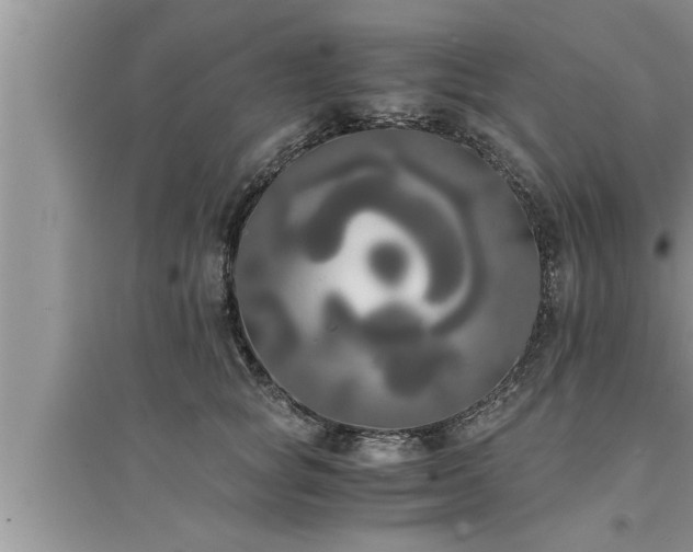 X0000095520757200712211302