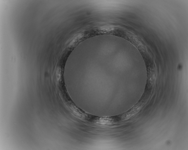 X0000095520758200712211302