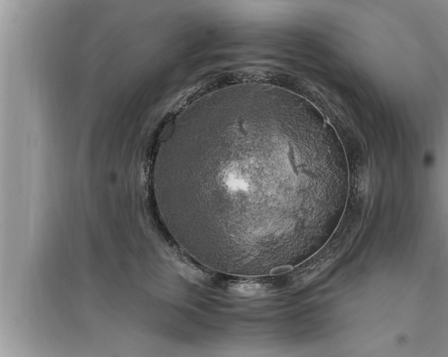 X0000095520759200712211303