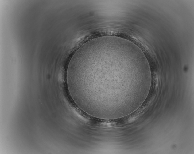 X0000095520760200712211303