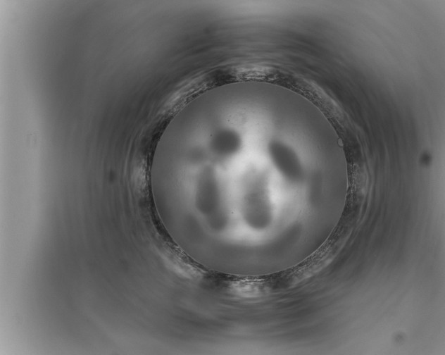 X0000095520761200712211303