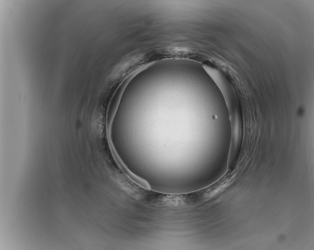 X0000095520762200712211303