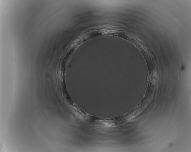 X0000095520763200712211303