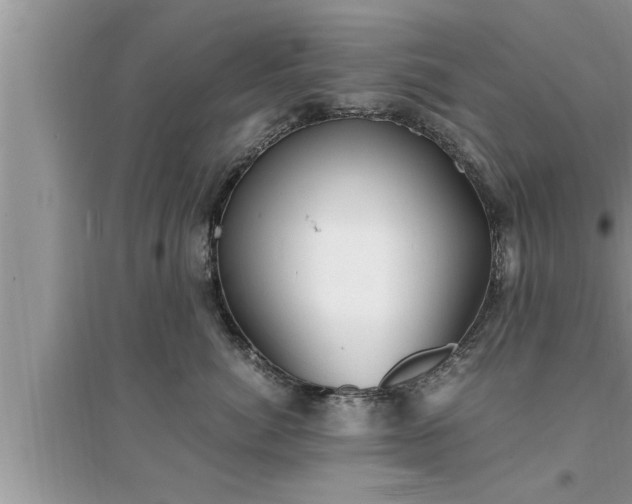 X0000095520764200712211303