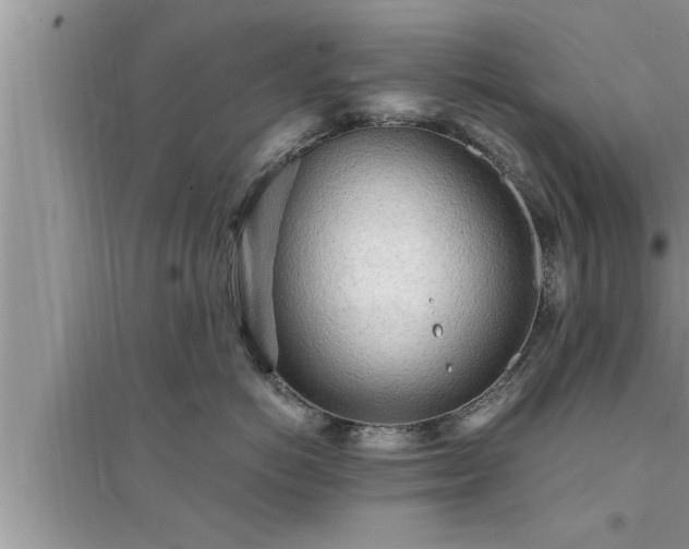 X0000095520766200712211303