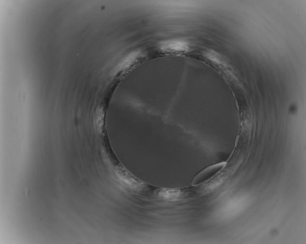 X0000095520767200712211303