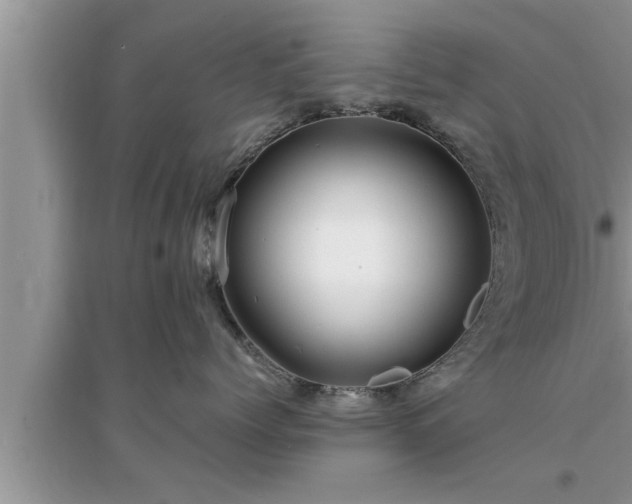 X0000095520768200712211303